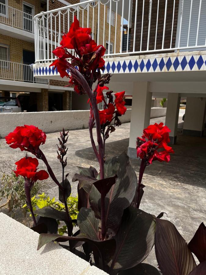 Prachtig Gemoderniseerde Woning Op 250 Meter Van Het Strand Santa Pola Bagian luar foto